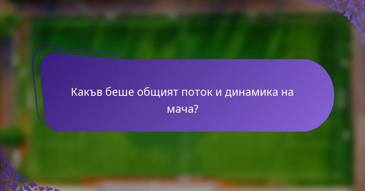 Какъв беше общият поток и динамика на мача?